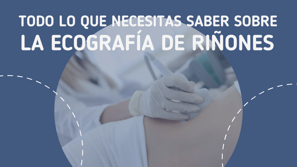 Palabras clave: ecografía, riñones, ondas sonoras, estructura renal, función renal, cálculos renales, quistes, tumores renales, obstrucciones urinarias, biopsia renal, preparación para ecografía, riesgos asociados, seguridad.